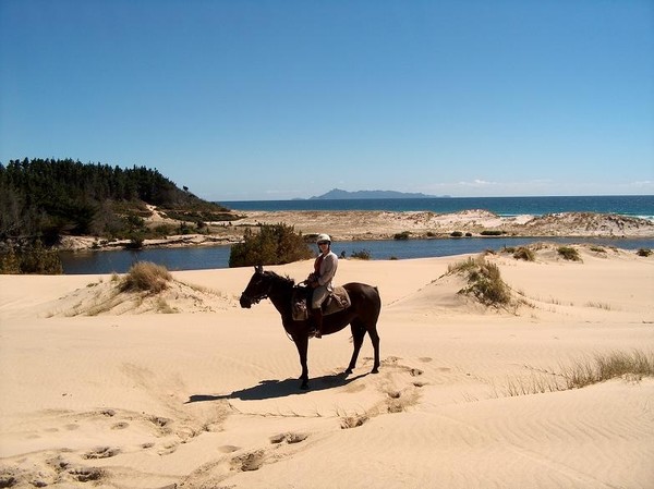 Pakiri Horses provide a seven-day coast to coast horse trekking adventure that is out of this world. 